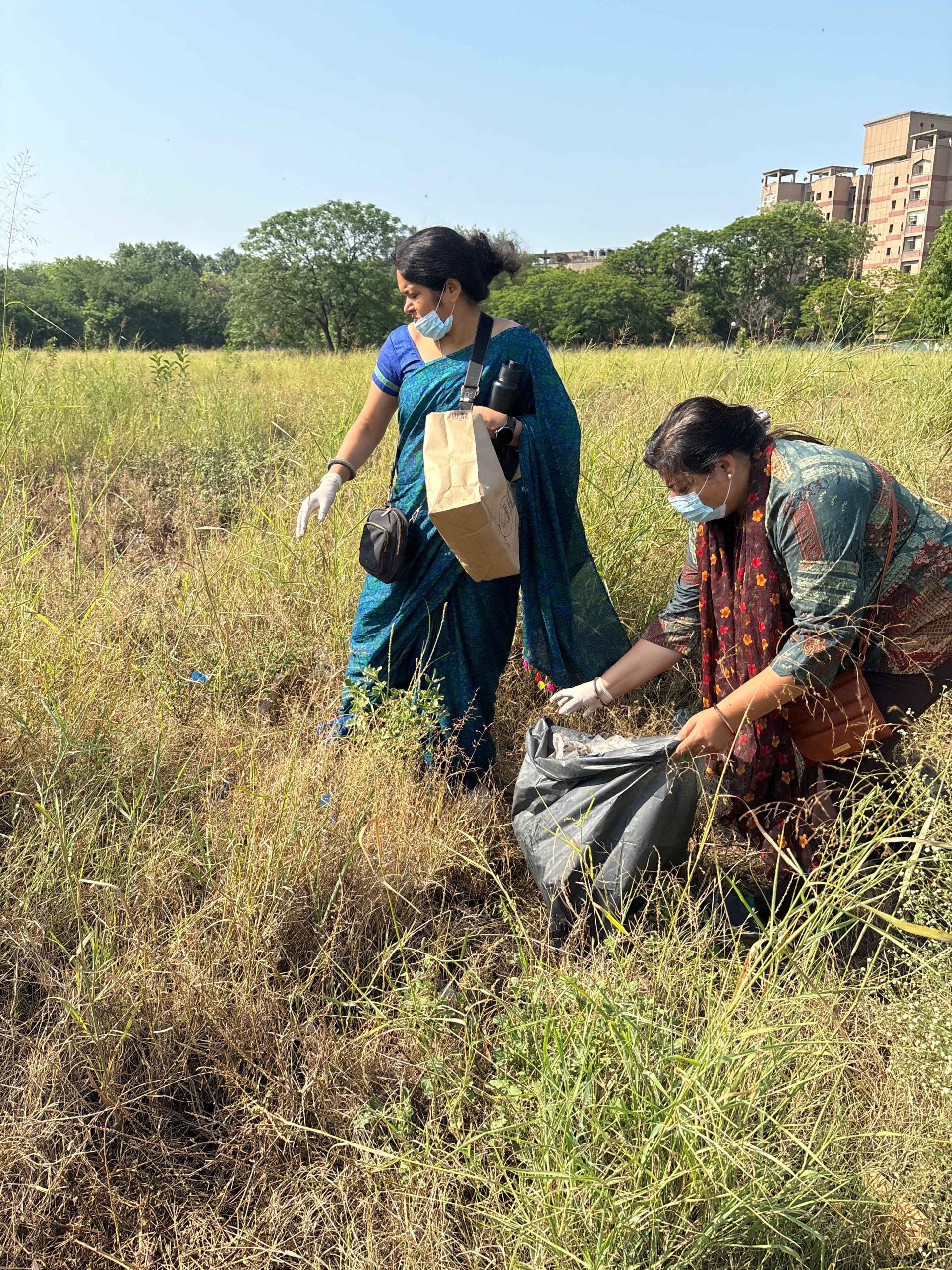 Cleanliness Drive in Action